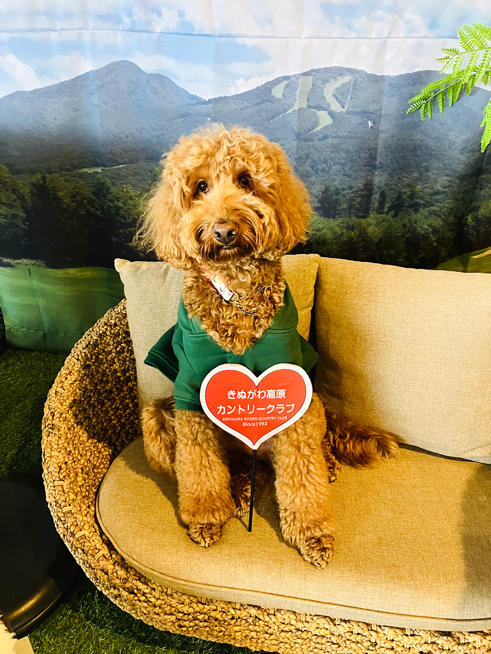 下期グランプリ　デイジーちゃん02