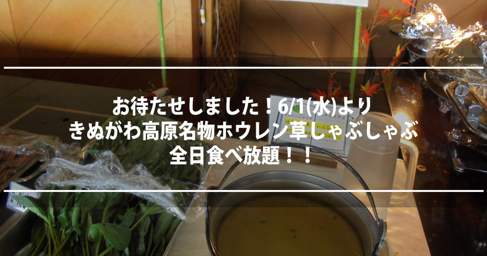 ほうれん草しゃぶしゃぶ全日食べ放題